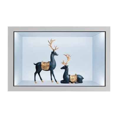 21.5 Inch Tủ Trưng Bày LCD Trong Suốt với Màn Hình Cảm Ứng Điện Dung và Độ Sáng 2000 Nits Tủ Kỹ Thuật Số