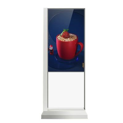Màn hình cảm ứng trong suốt 55 inch với trình phát video Android và công nghệ cảm ứng hồng ngoại 10 điểm